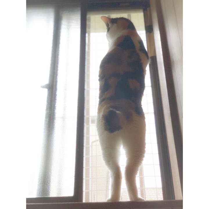 B0dccccd 33d4 4043 8ac9 04097d8c66c7 1559527747410