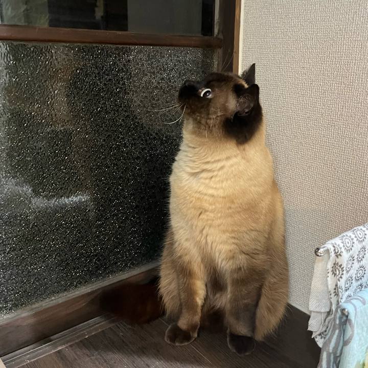 B0dcd9ea a16a 4379 adcb 110efa87edc8 1715686100146