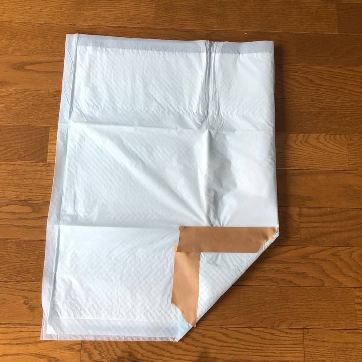 B0dcde80 cba5 4124 8c18 4759ebee6f2a 1566613176695