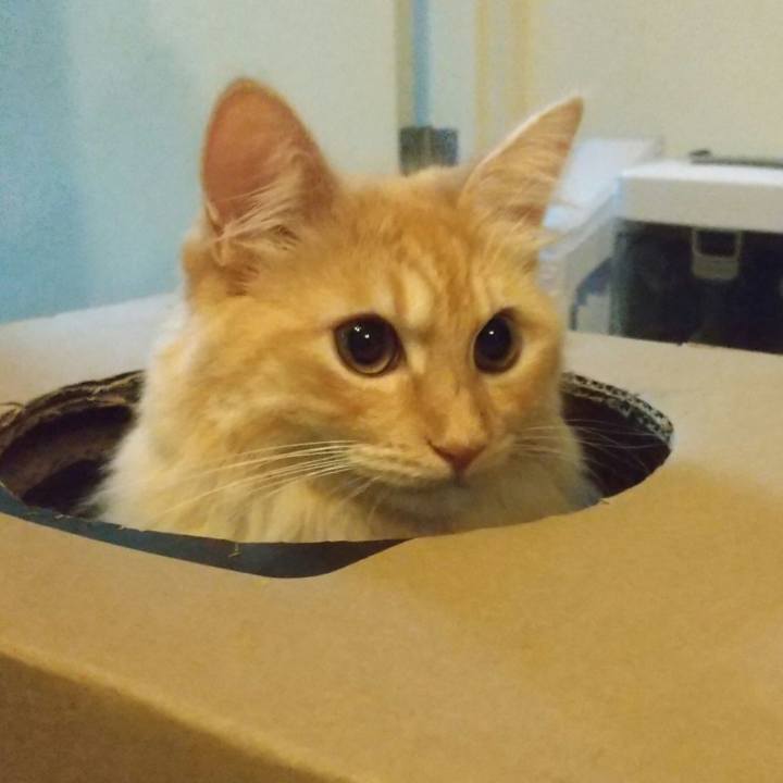 B0dce06d 840d 4a48 b3e2 2be03521a8b9 1629118716289