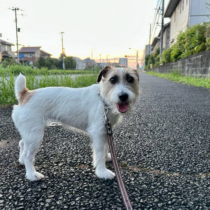 B0dce496 9c47 4d68 95f1 6faa6487cef4 1721694639721