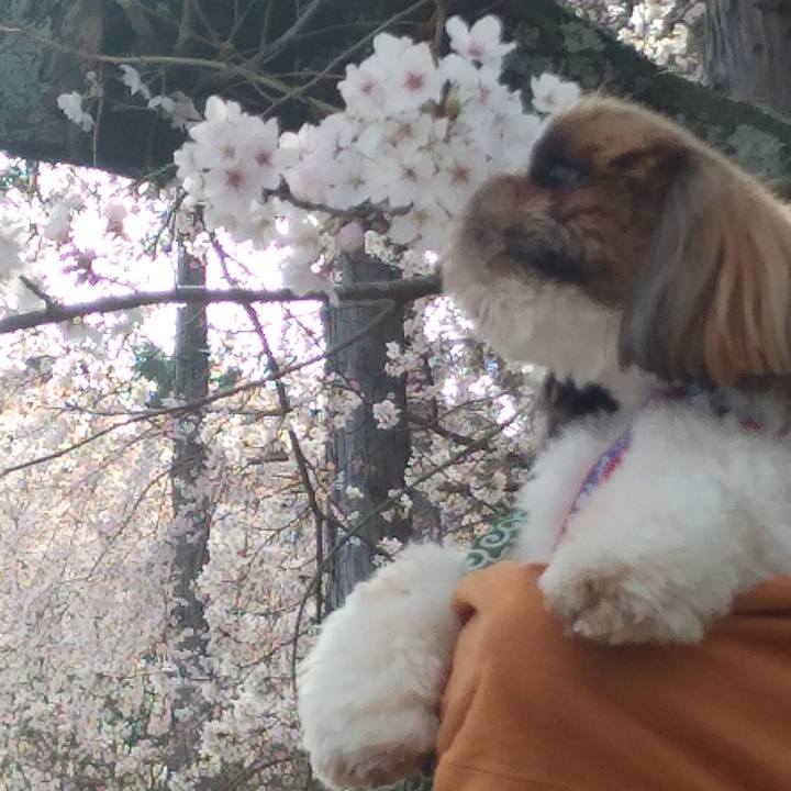 B0dd2c42 6bc7 4008 b11f b6dc4eb08270 1617078012368