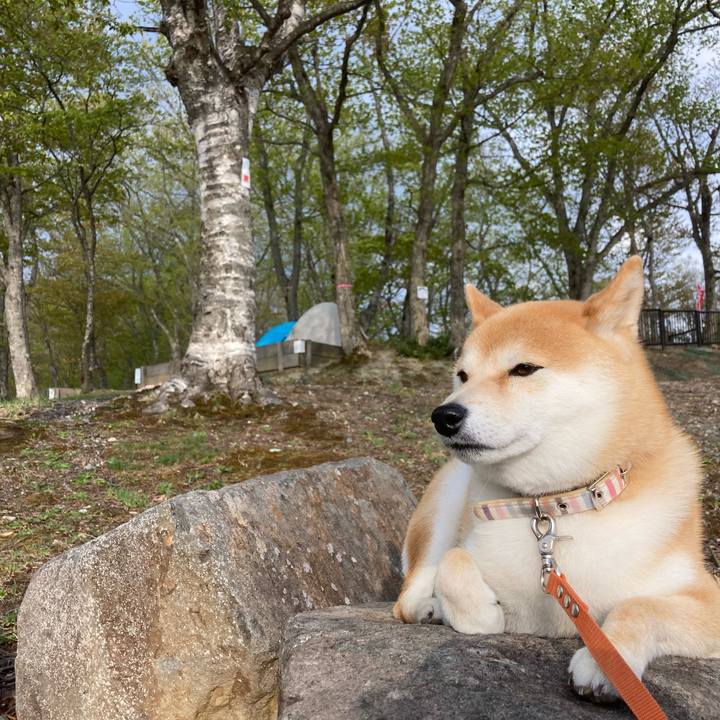 B0dd361b 3e86 4da3 ac1f 2ee0f5841f6d 1682926700686