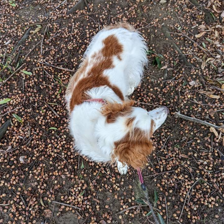 B0dd452e 3304 4d8f b125 2b7e11359468 1674806667257