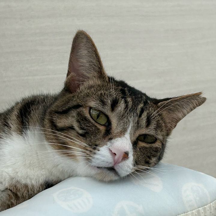 B0dd8d6e b9c4 4b66 a373 dc998ac2f2cf 1757897739861