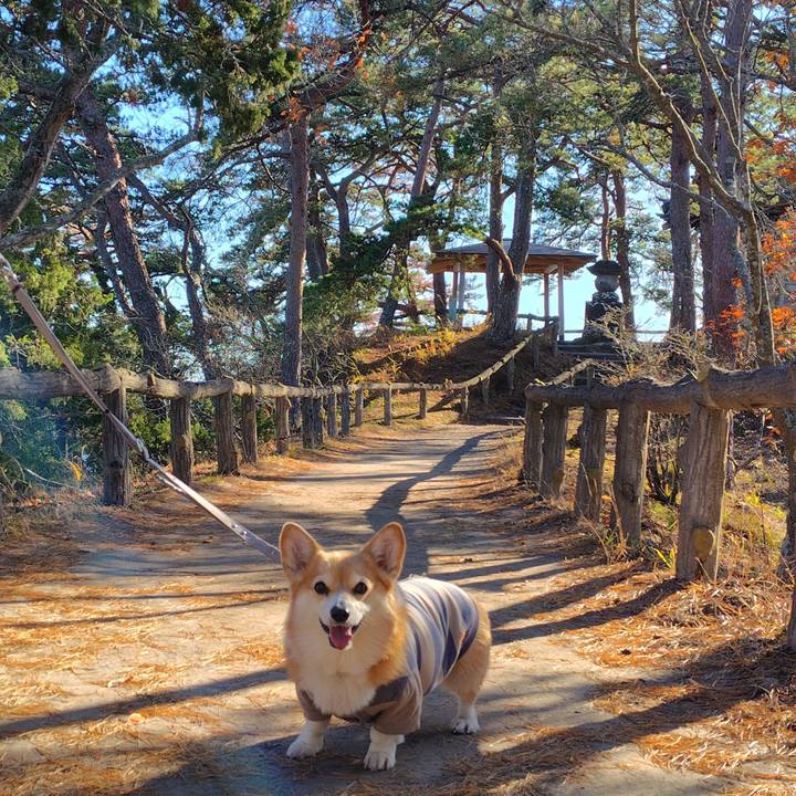 B0ddace4 a62a 44e6 a6d2 b3767599d167 1764413645711