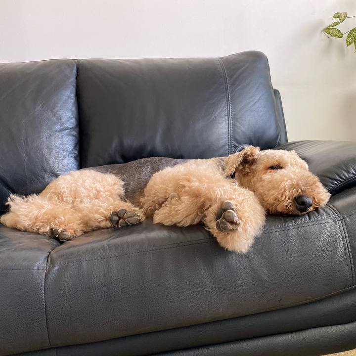 B0de373b 4f22 45e6 a85e 4314768d11b7 1573217354485