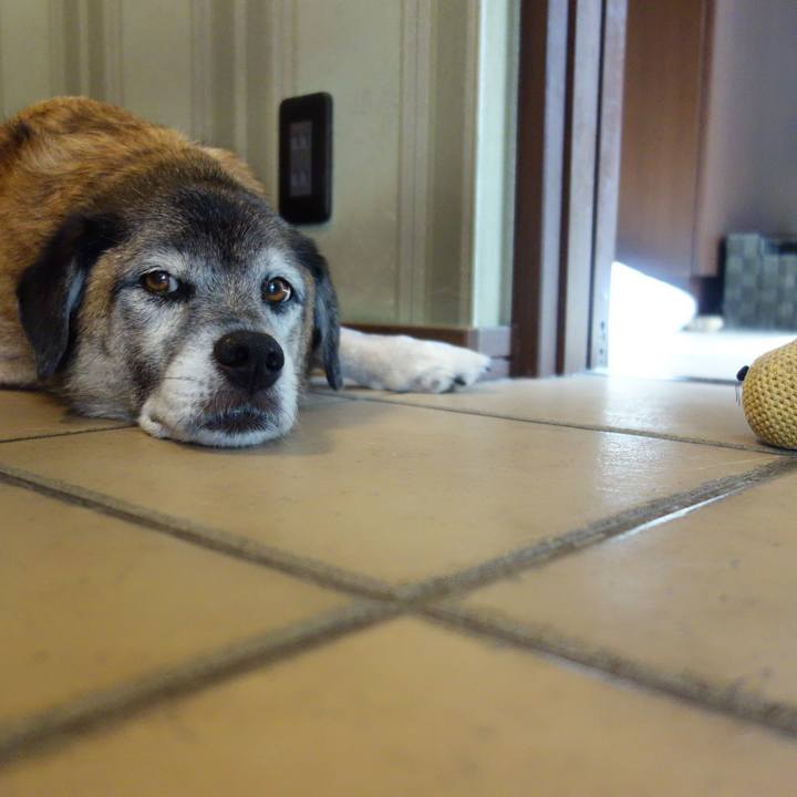 B0de855e 5f4a 431a 8369 8097f536ded1 1572520256026