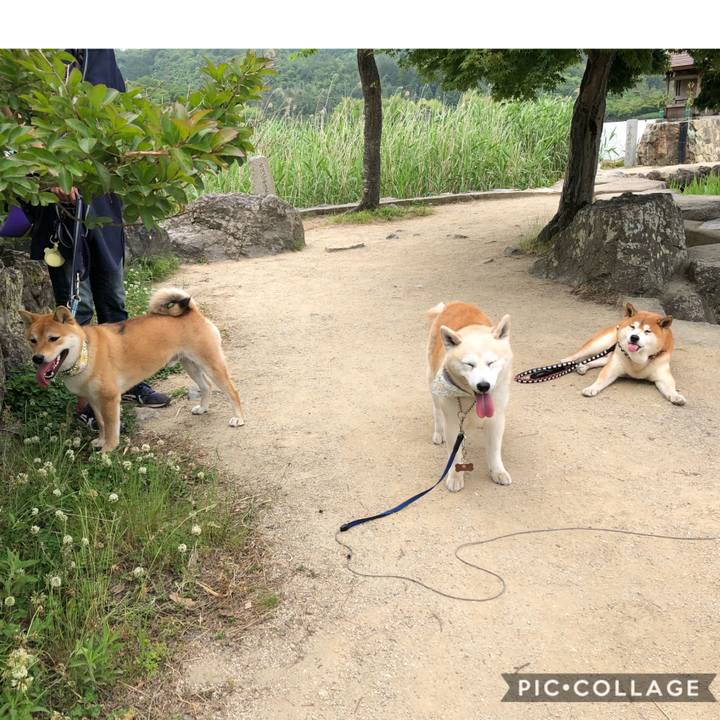 B0de9447 d580 4194 a7e5 929e0b779d4e 1591425300045