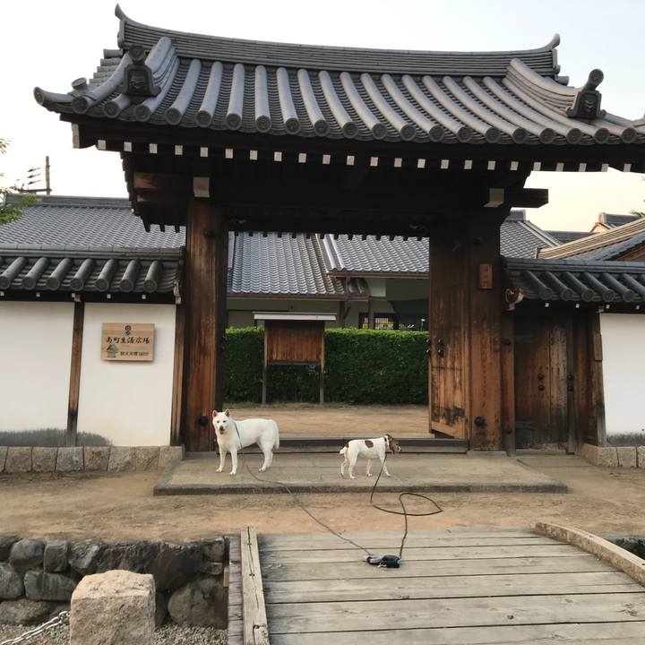 B0dec0c0 d0d4 47e2 9e7d 6ebe5bd8a53f 1558874333724