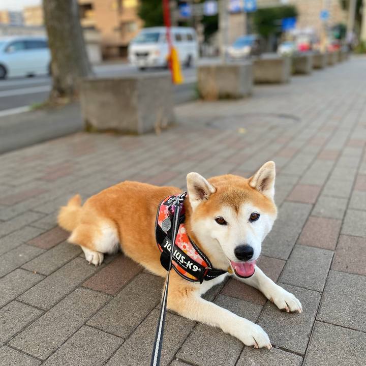 B0dee3c0 2fd4 4353 8c0e 8042f6153c7a 1628162072727