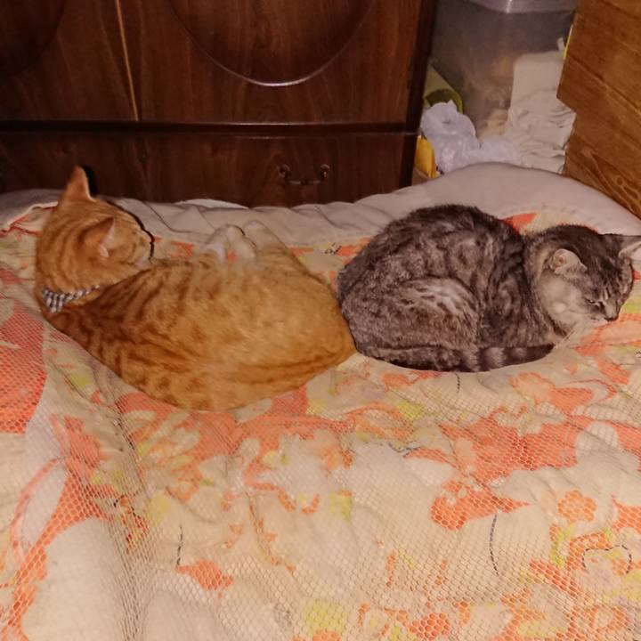 B0df23f1 cd3e 4132 9e48 e569012d9a42 1571417309645