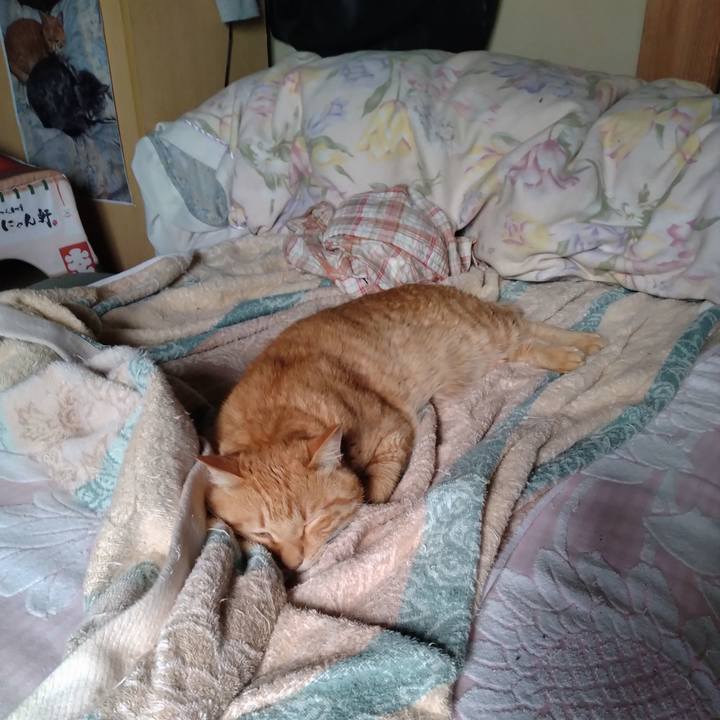 B0df2f0c 198b 49a6 824e 8c293a83236b 1688600307948