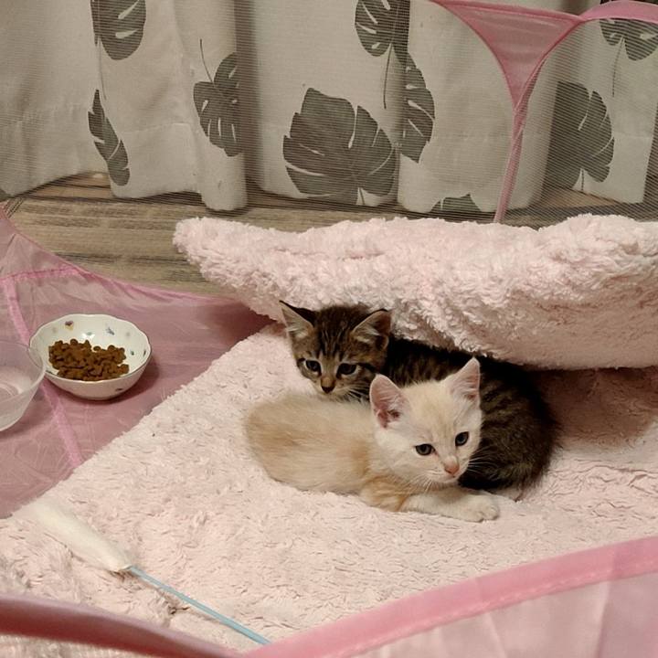 B0df517a 7590 458b 8b56 b8dd499df033 1717650090651