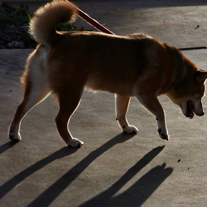 B0df603c e774 4da9 8d4b 9eebc616faa1 1566045132046