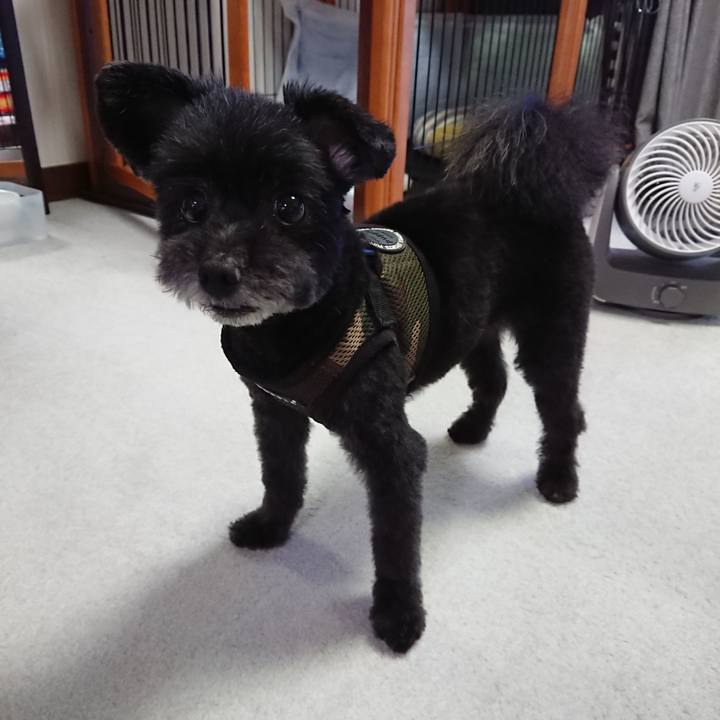 B0df6b5d de2f 4f9e bcb4 d5e66269ccf1 1595754616143