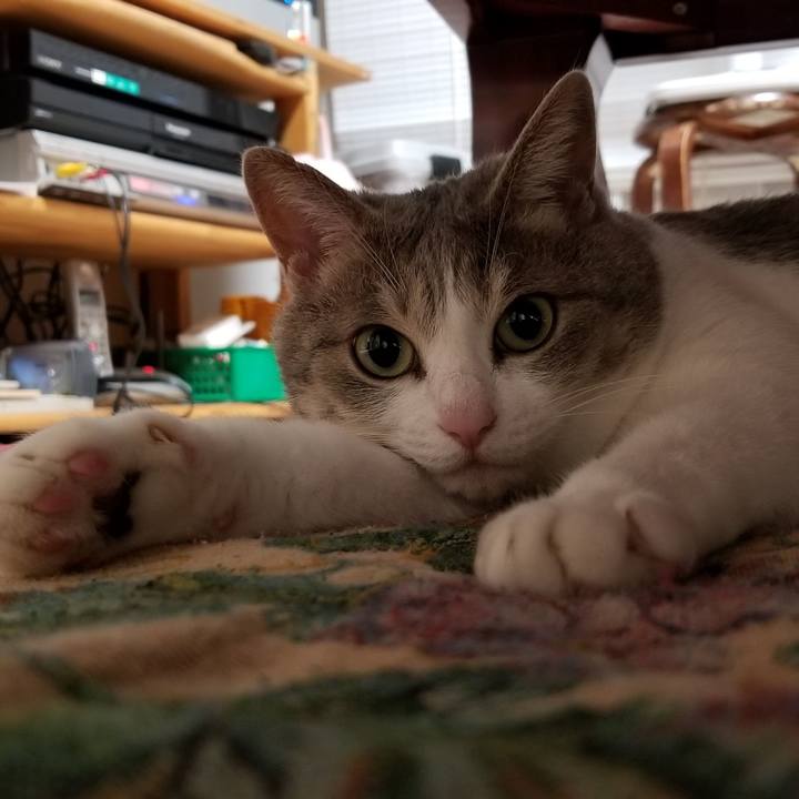 B0df88c5 3998 4089 ae2a b84a99d98306 1572100301179