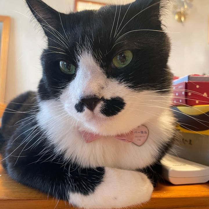 B0dfbbc6 5f3f 4dab a346 8fc78fe07f87 1751288384651