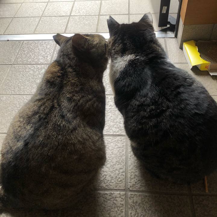 B0dfbfd2 2e00 45cf bca9 517f6e1b6b5a 1550967034477