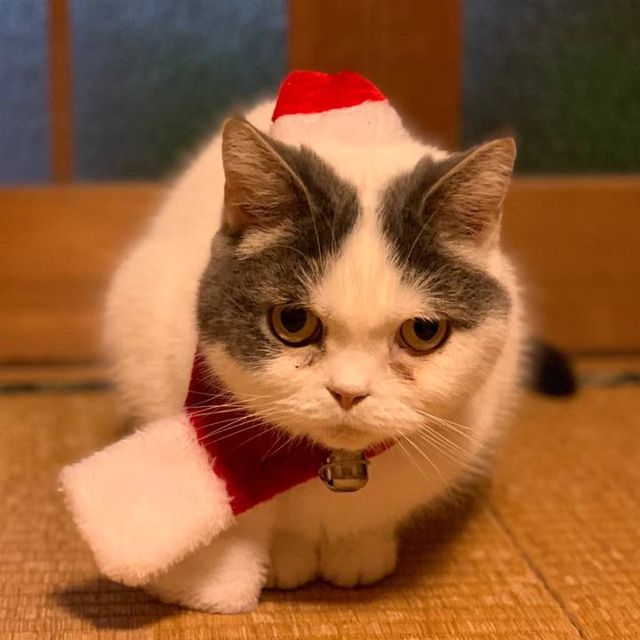 B0dfc22a a881 4c18 a3d9 1e378c0a2a97 1671965030288