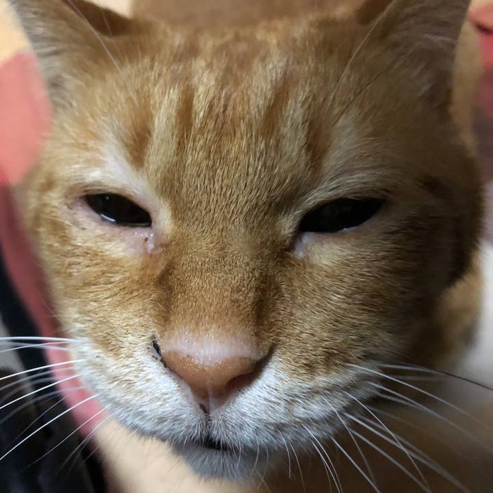 B0dfc97b 1576 4359 851b 1f875af7c078 1679668680314