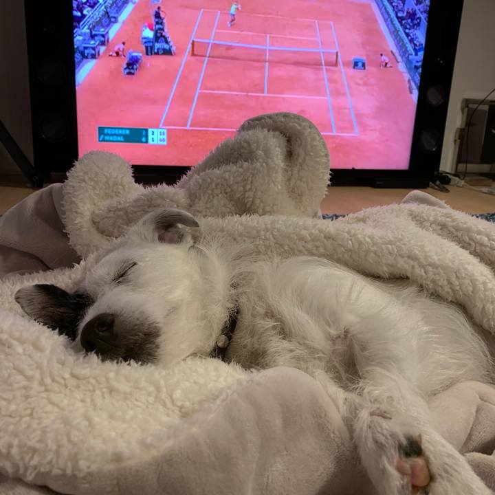 B0dfd2e3 7c60 4cc7 96a2 acc869403263 1559910511034