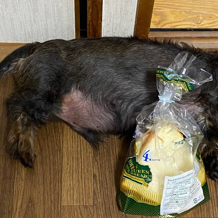 B0dfda2d 962b 4c0f b9de 98c4c7afd4f4 1597284112693