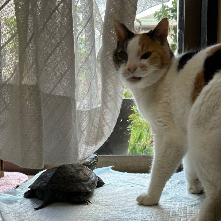 B0dfdc9c 2ef9 4fc7 8555 374c5d9266f3 1712996086704