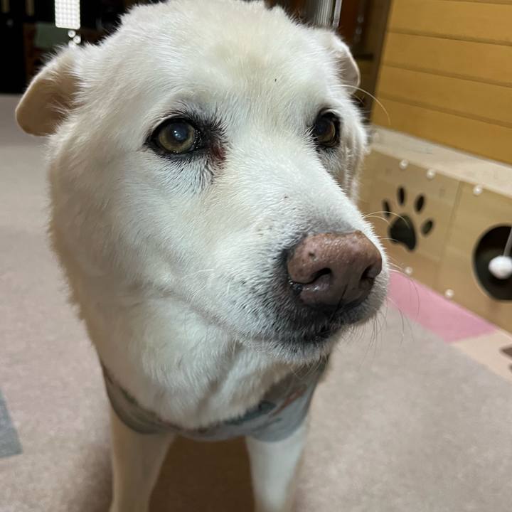 B0dff473 cd17 4831 ac8b 3b1357a906e6 1766359227221