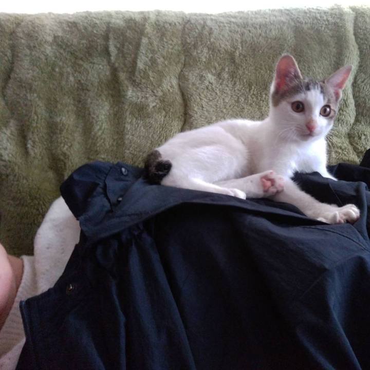 B0e05bdd e0f0 4c13 a86c bc38db231915 1637985067799