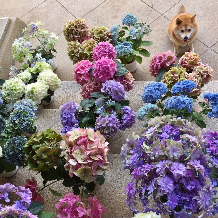 B0e0721e e339 42e2 9232 7d7a15228aa5 1560672177896