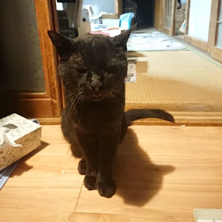 B0e0737a a53f 46cc 9def cbd4e8cc046a 1628339775944