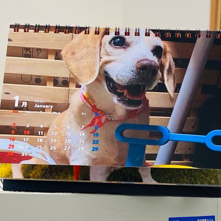 B0e094f0 8536 49d0 8e8c 6af7dd850d74 1643683179096