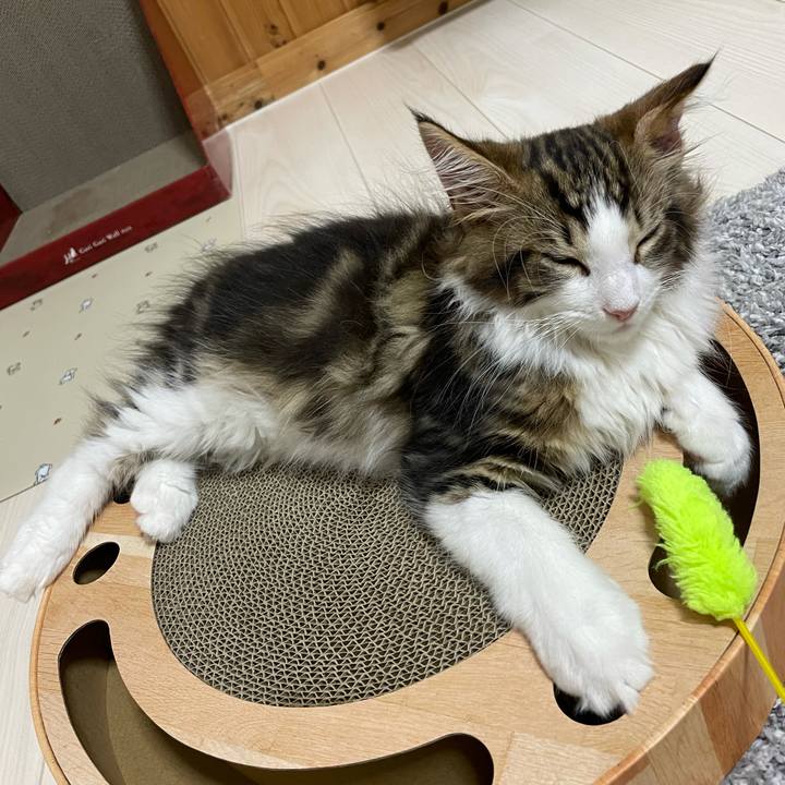 B0e0aee6 9ce6 4b5c b789 c79a45636e8e 1633174564023