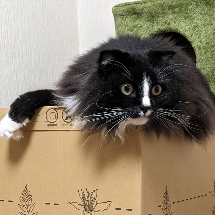 B0e0b866 18d2 4841 acef eaab65c30f72 1686961565908