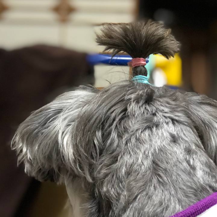 B0e0db31 d814 4978 a82d f2fa7a21b293 1542410389123