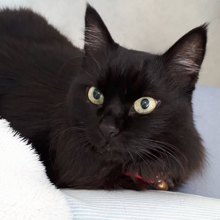 B0e0dbf2 c90f 42f8 9167 82179aa38ef9 1546044498267