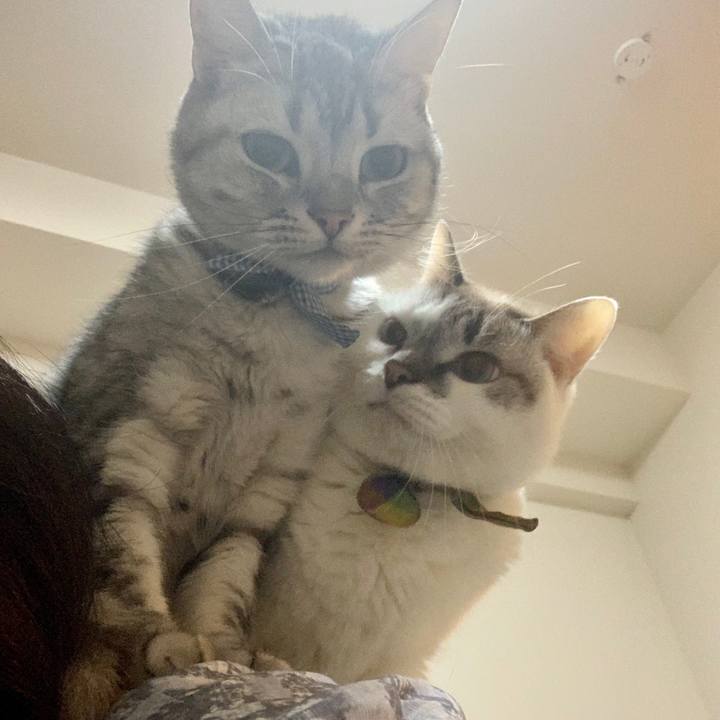 B0e0f55c f71a 4f1c 8dbb 1294bc20b726 1574763298734