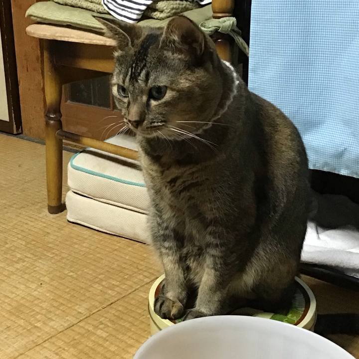 B0e10f7f 167a 496e 9360 774764488abe 1665577710115