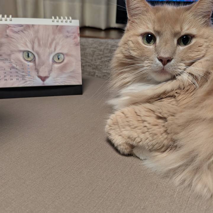 B0e14743 ecf7 4ee5 97a5 6f33442bb123 1736452628516