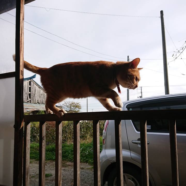 B0e14925 47a6 44f2 9161 ea225ef92b4f 1572760134233