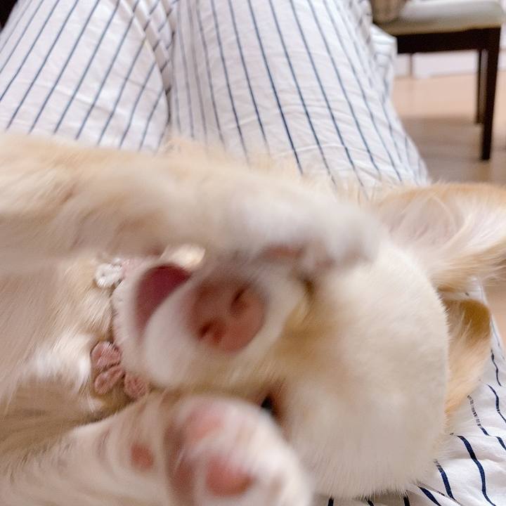 B0e176a1 196c 425b a8b7 94ebd61d6a8b 1619143362730