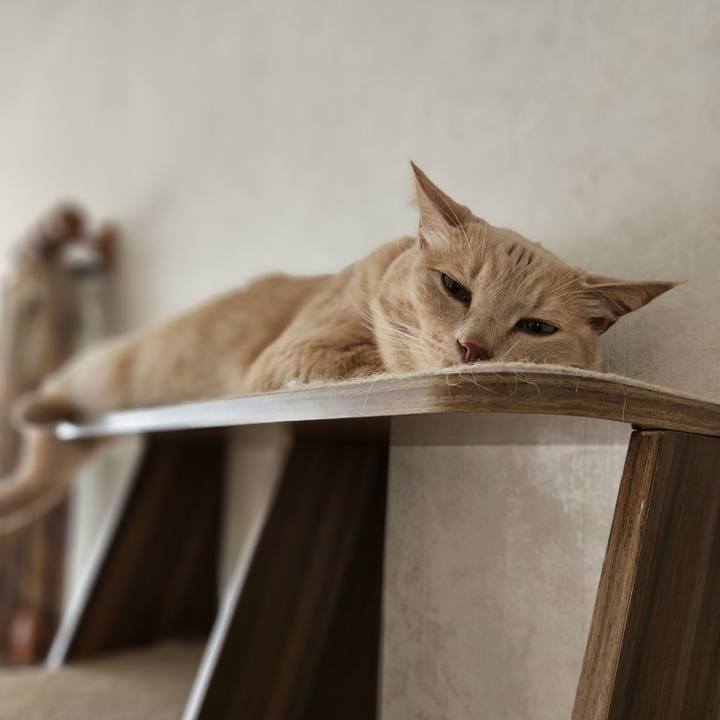 B0e1babb e8e5 4d5f bf31 dec479f320e0 1692231167963