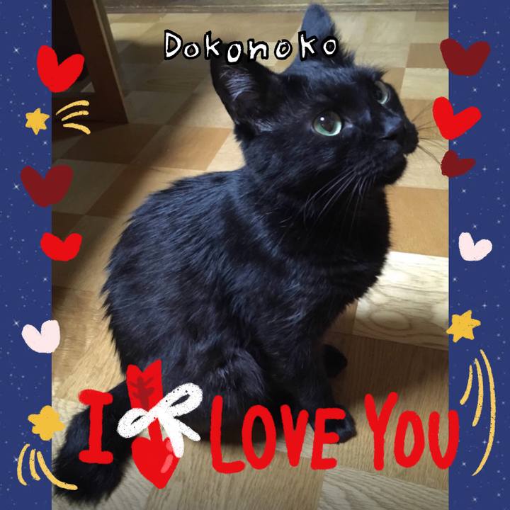 B0e2137f 5141 4b71 8869 cf50c8913755 1706914279942