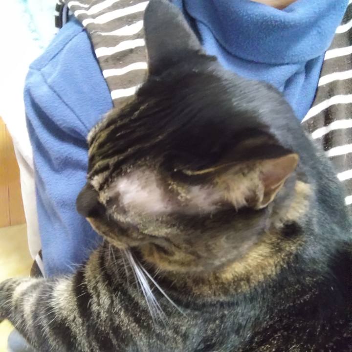 B0e28fb3 c9d0 478f bb13 3ff09b82de2c 1768861686366