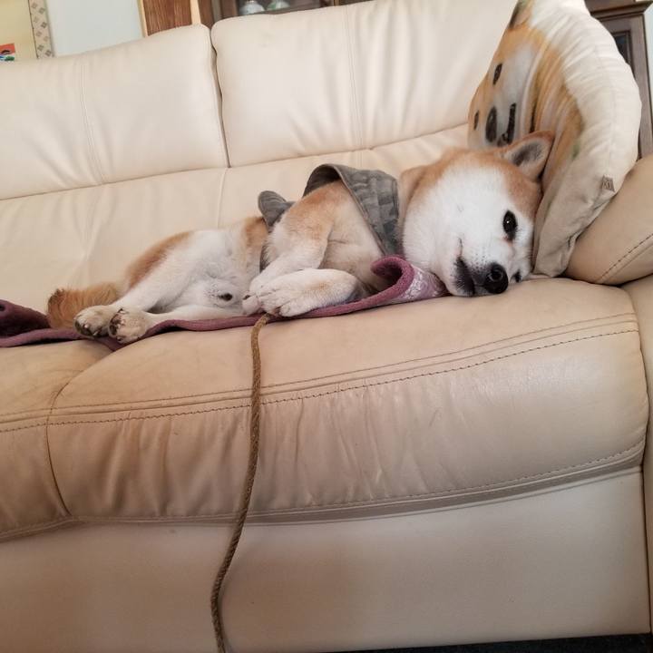 B0e2aacf bfa2 482f a2c2 64b66007c923 1648167443987