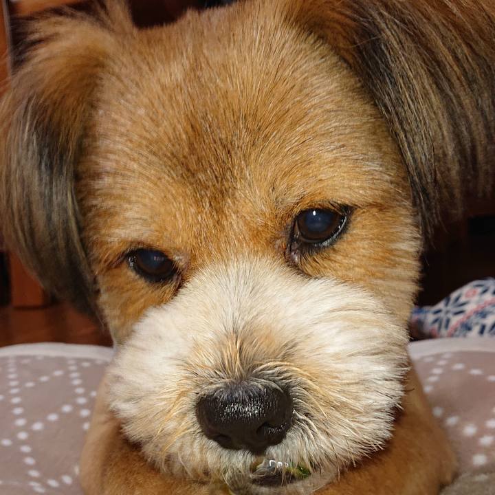 B0e2b778 4ee8 44d0 a9db 75bd19444f96 1555590609480