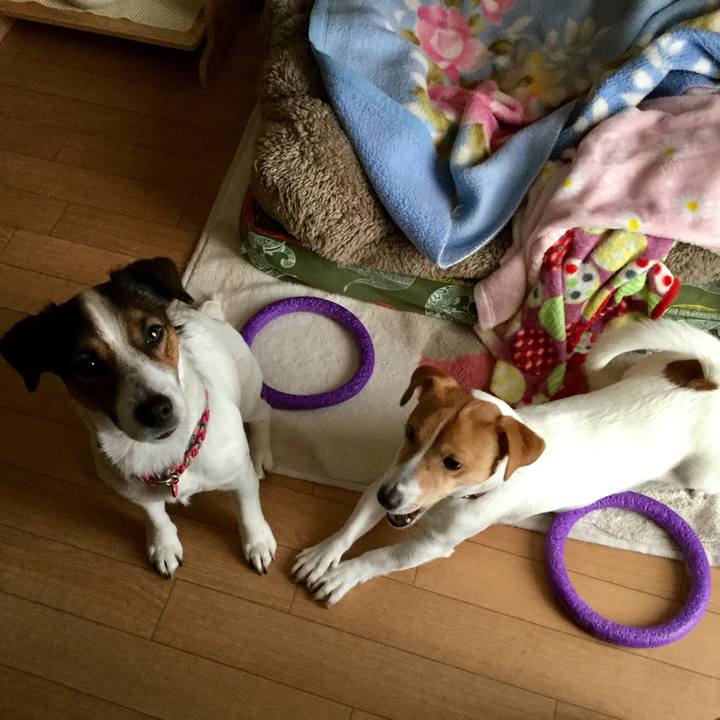 B0e2bf5a c94f 4d8e 9785 1074d0259ffc 1517985140091