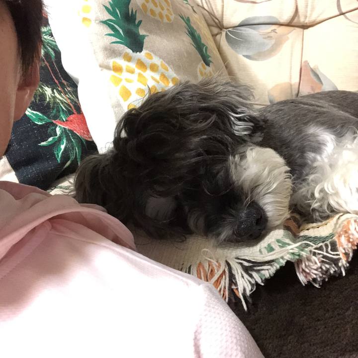 B0e2bf9d 4d21 4f38 8173 097a15cfd0ce 1534507763251