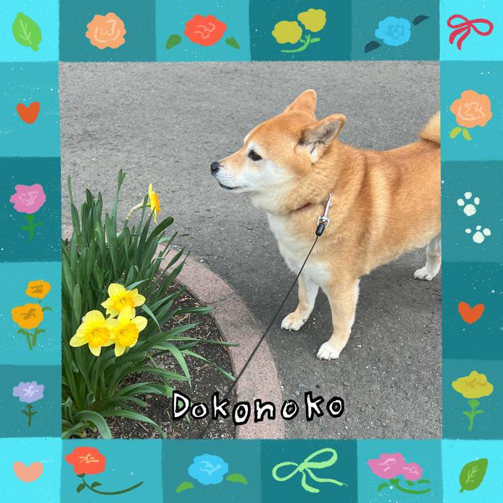 B0e2c438 bccd 4e0c b6a1 fb1737b251bf 1715211872848
